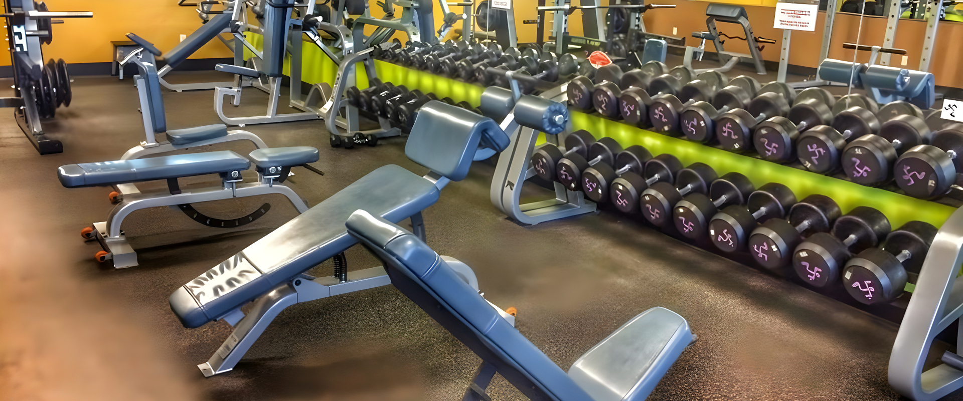 Physical therapy in Reno, NV — Brian Fischer treatment facility at Anytime Fitness